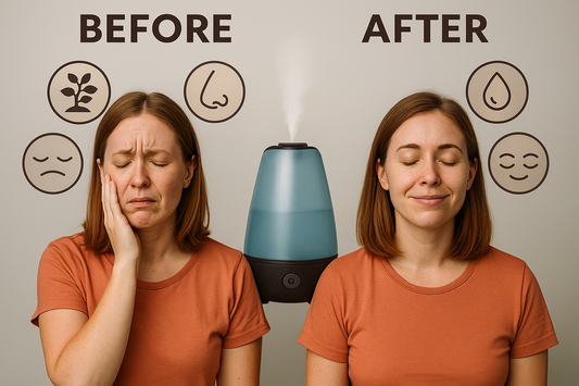 The importance of humidifier in our lives